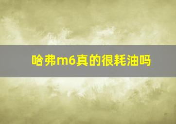 哈弗m6真的很耗油吗