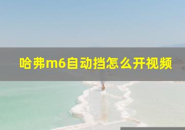 哈弗m6自动挡怎么开视频