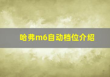 哈弗m6自动档位介绍