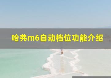 哈弗m6自动档位功能介绍