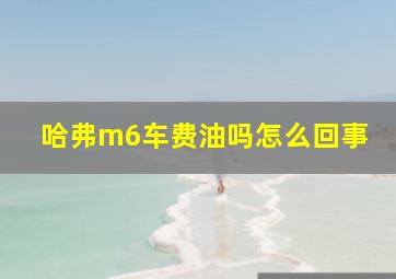 哈弗m6车费油吗怎么回事