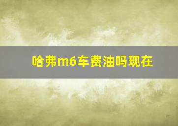 哈弗m6车费油吗现在