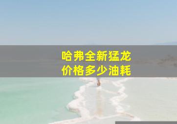 哈弗全新猛龙价格多少油耗