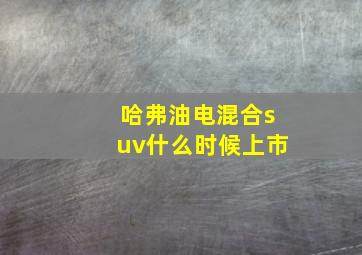 哈弗油电混合suv什么时候上市