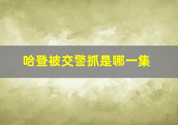 哈登被交警抓是哪一集