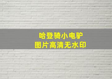 哈登骑小电驴图片高清无水印