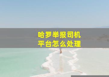 哈罗举报司机平台怎么处理