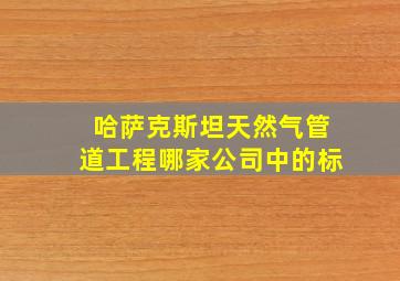 哈萨克斯坦天然气管道工程哪家公司中的标