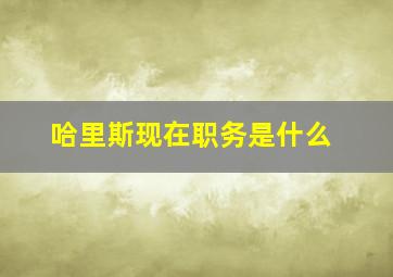 哈里斯现在职务是什么