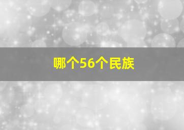 哪个56个民族