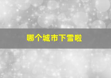 哪个城市下雪啦