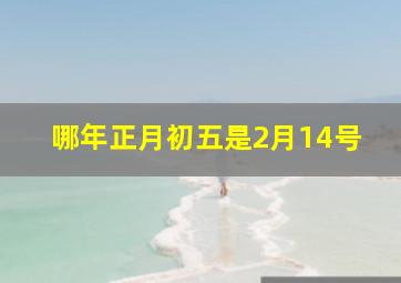 哪年正月初五是2月14号