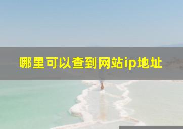 哪里可以查到网站ip地址