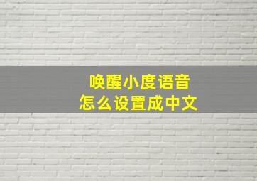 唤醒小度语音怎么设置成中文