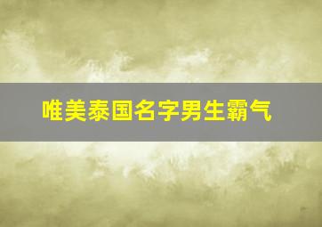 唯美泰国名字男生霸气