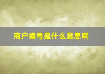 商户编号是什么意思啊