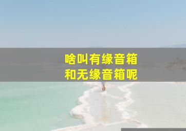 啥叫有缘音箱和无缘音箱呢