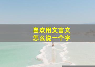 喜欢用文言文怎么说一个字