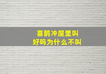 喜鹊冲屋里叫好吗为什么不叫