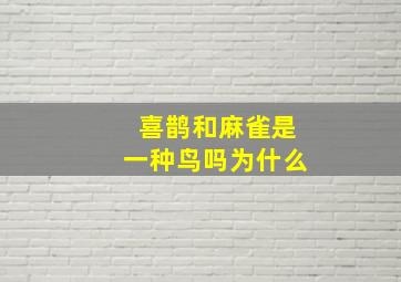 喜鹊和麻雀是一种鸟吗为什么