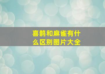 喜鹊和麻雀有什么区别图片大全