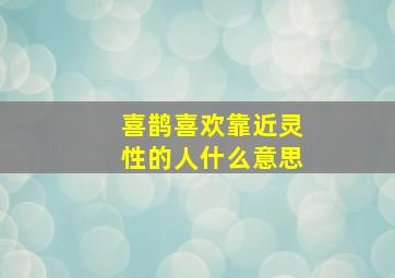 喜鹊喜欢靠近灵性的人什么意思