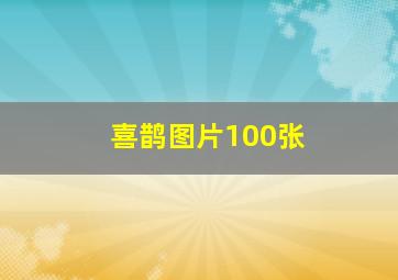 喜鹊图片100张