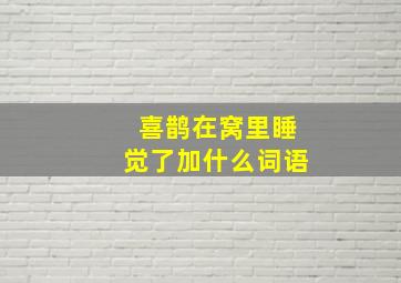 喜鹊在窝里睡觉了加什么词语