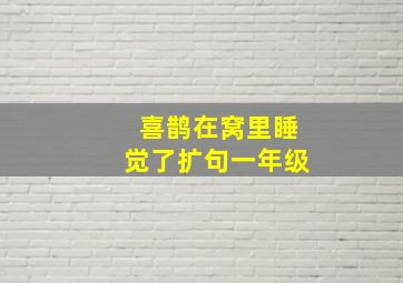 喜鹊在窝里睡觉了扩句一年级