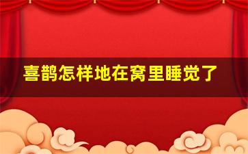 喜鹊怎样地在窝里睡觉了