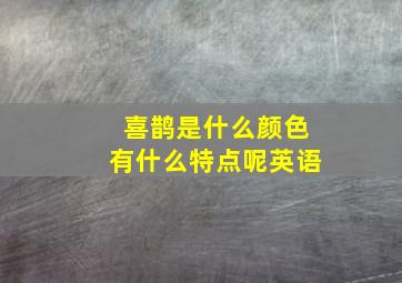 喜鹊是什么颜色有什么特点呢英语