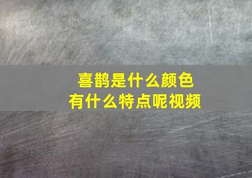 喜鹊是什么颜色有什么特点呢视频