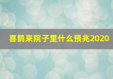 喜鹊来院子里什么预兆2020