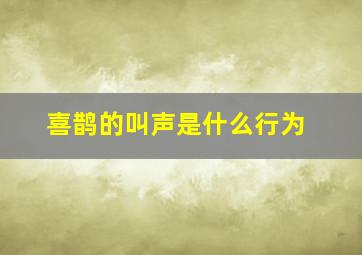 喜鹊的叫声是什么行为