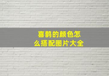 喜鹊的颜色怎么搭配图片大全