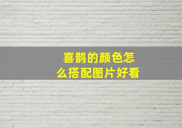 喜鹊的颜色怎么搭配图片好看