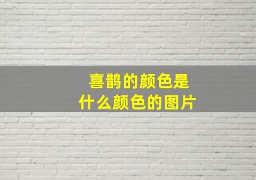 喜鹊的颜色是什么颜色的图片