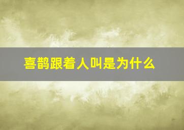 喜鹊跟着人叫是为什么