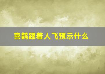 喜鹊跟着人飞预示什么