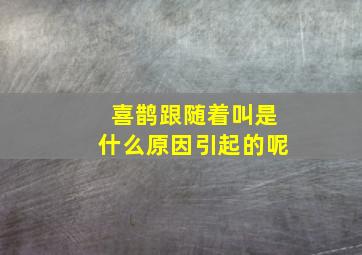 喜鹊跟随着叫是什么原因引起的呢