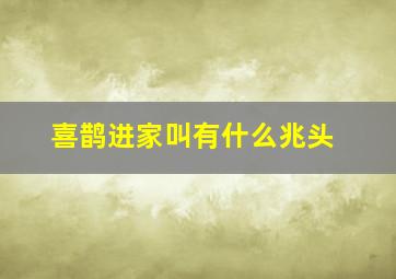 喜鹊进家叫有什么兆头