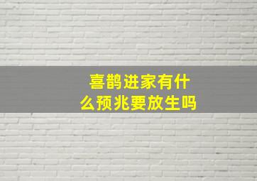 喜鹊进家有什么预兆要放生吗