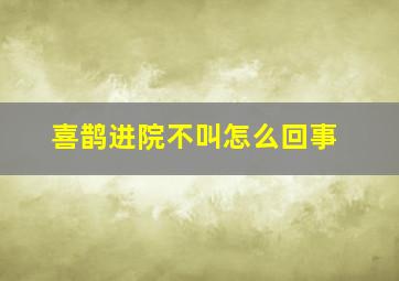 喜鹊进院不叫怎么回事