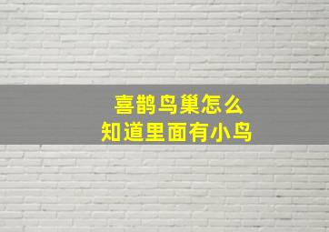 喜鹊鸟巢怎么知道里面有小鸟