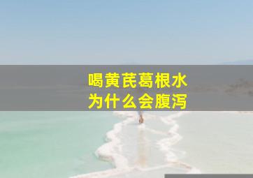 喝黄芪葛根水为什么会腹泻