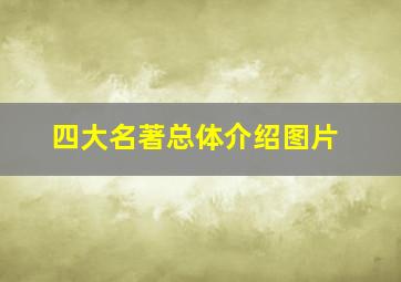 四大名著总体介绍图片