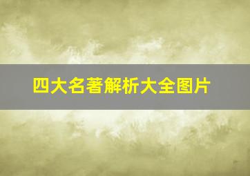 四大名著解析大全图片