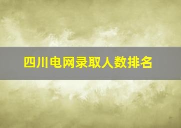 四川电网录取人数排名