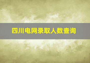 四川电网录取人数查询