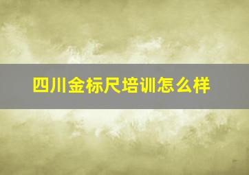 四川金标尺培训怎么样